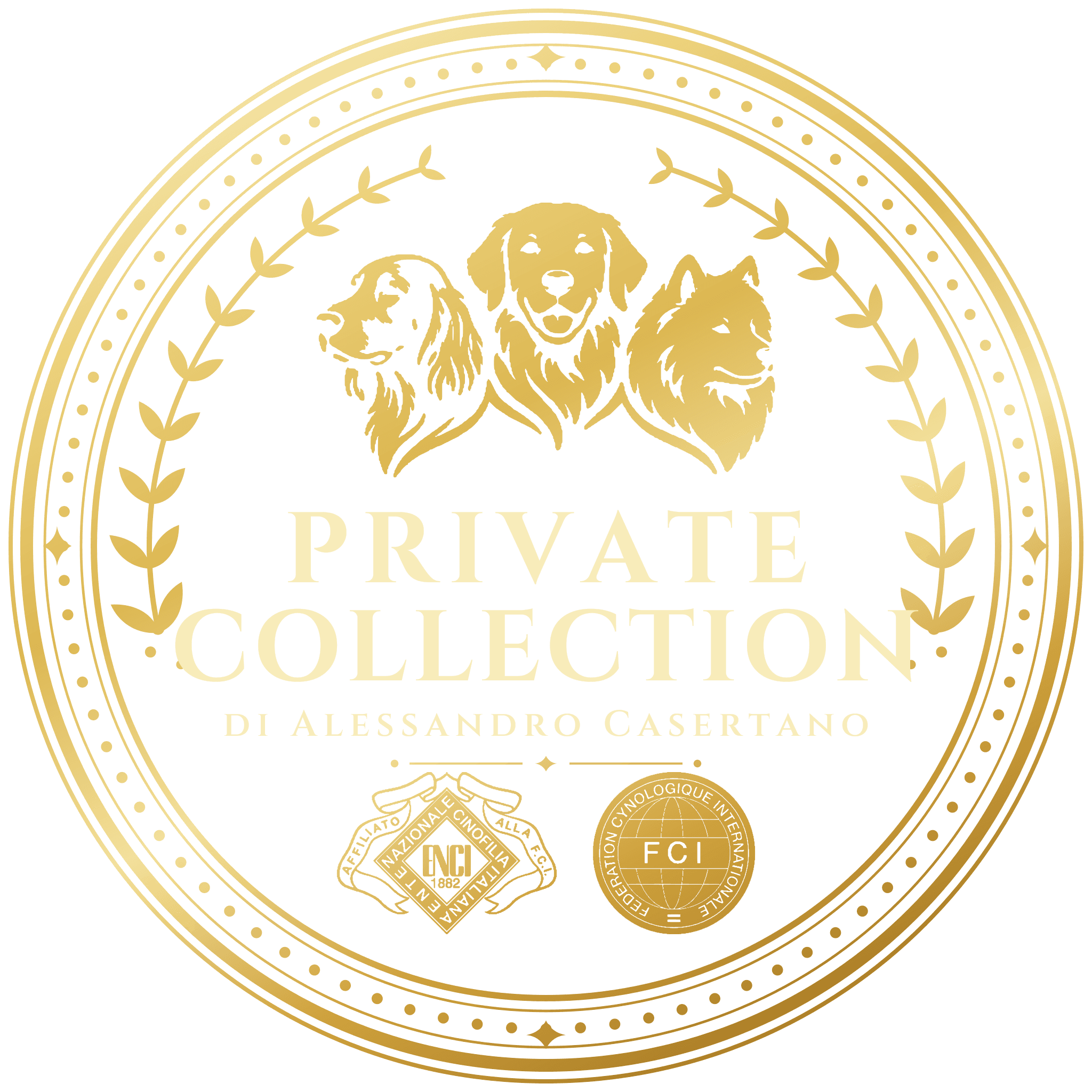 Private Collection di Alessandro Casertano — allevamento riconosciuto ENCI e FCI