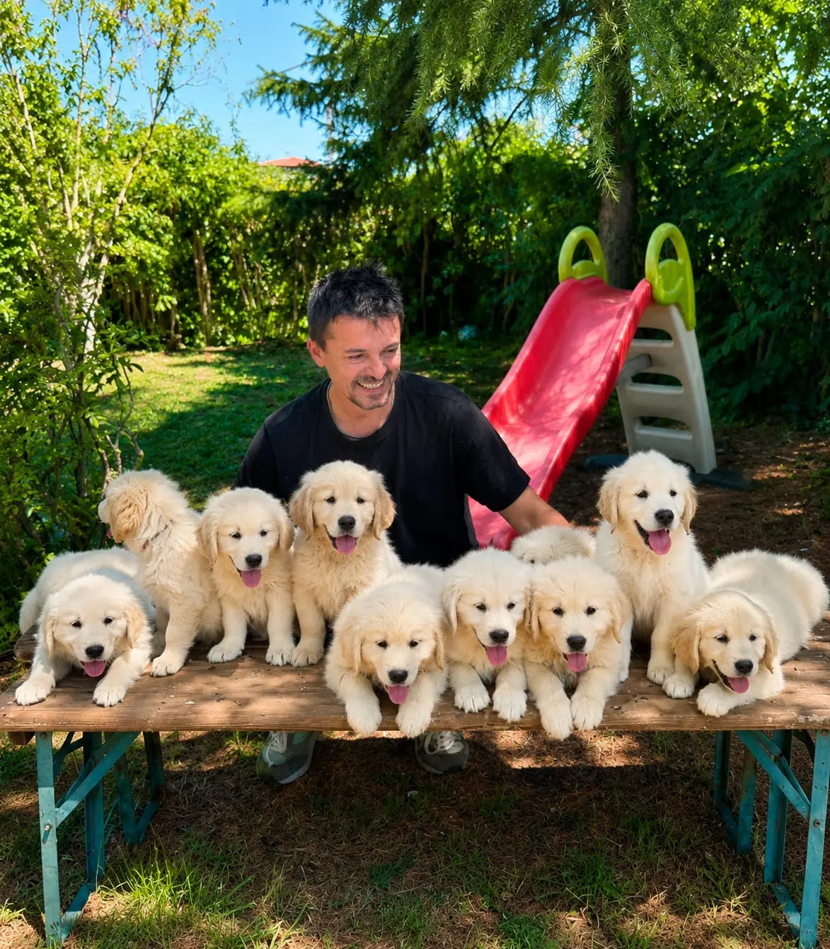 Alessandro Casertano con una cucciolata di Golden Retriever