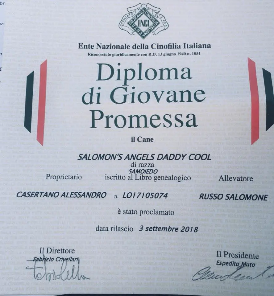 Diploma ENCI di Giovane Promessa