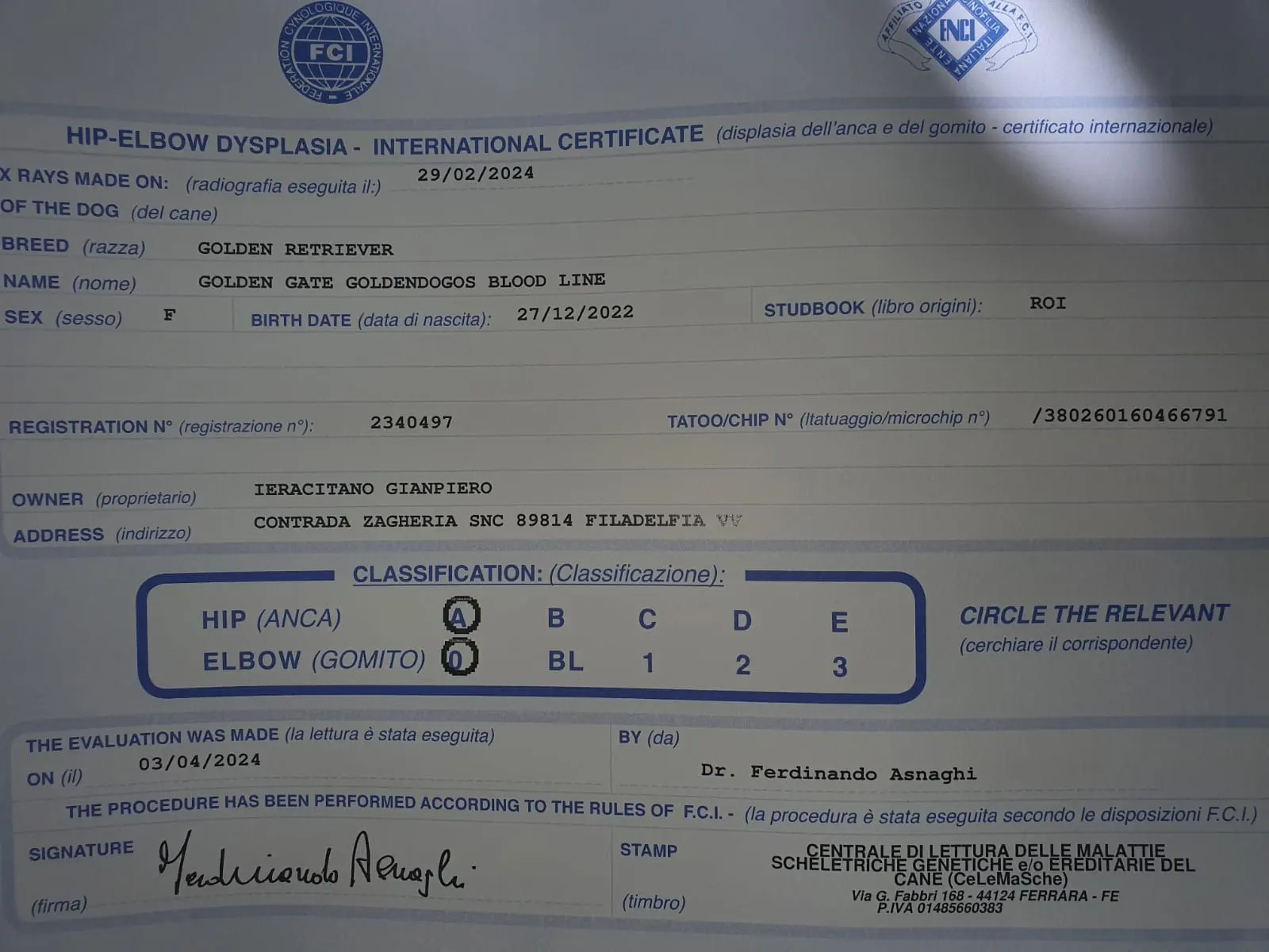 Certificato internazionale FCI di lettura della displasia